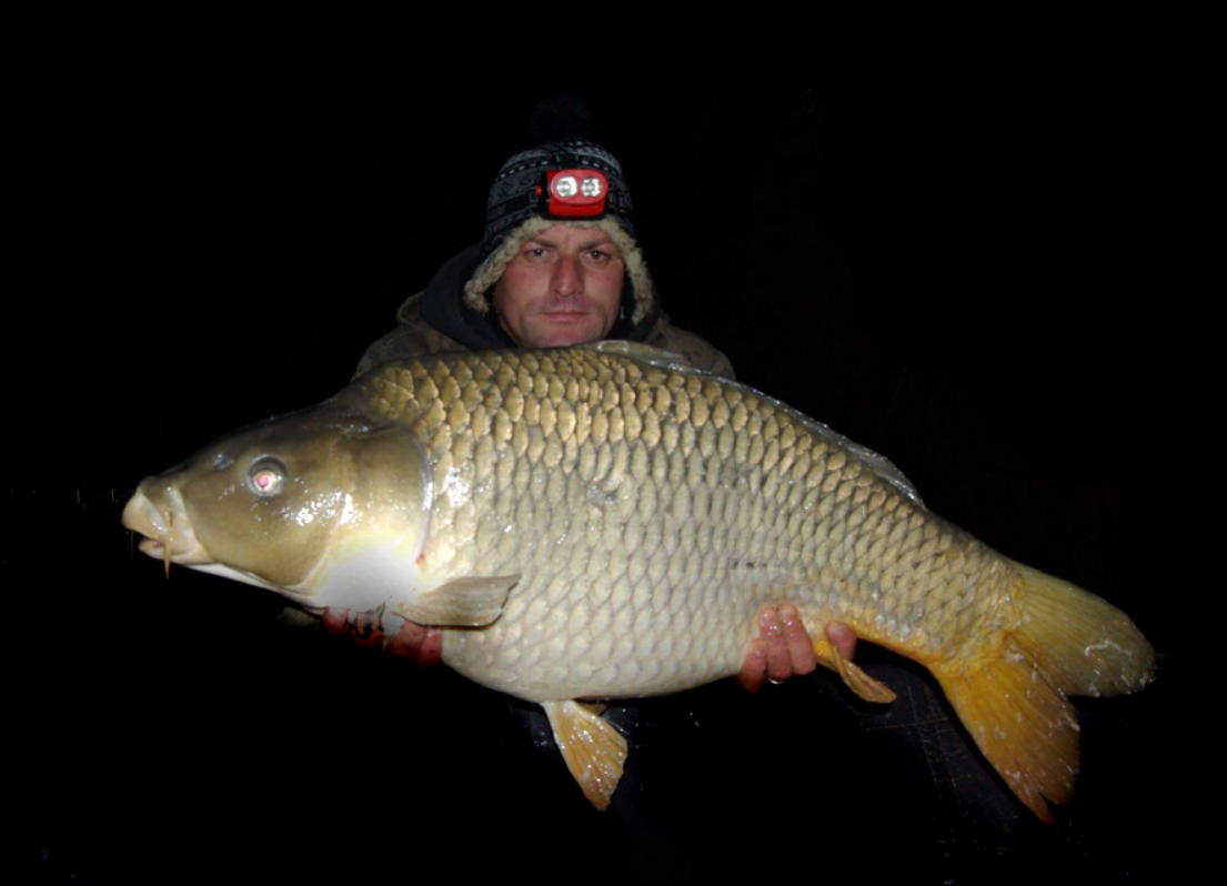 Mika alas Serbia - 2015-10-07-205607.png